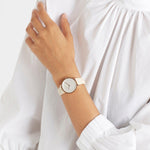 PIERRE CARDIN MOD. CBV-1500 CBV-1500