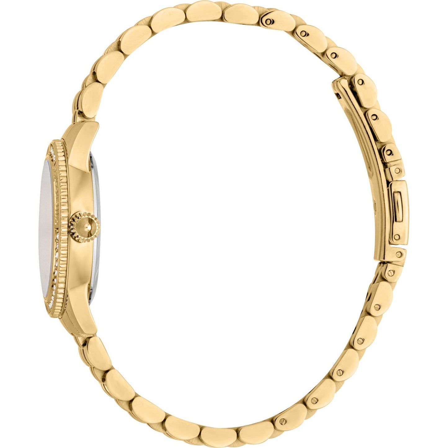 JUST CAVALLI TIME WATCHES Mod. JC1L275M0045 JC1L275M0045