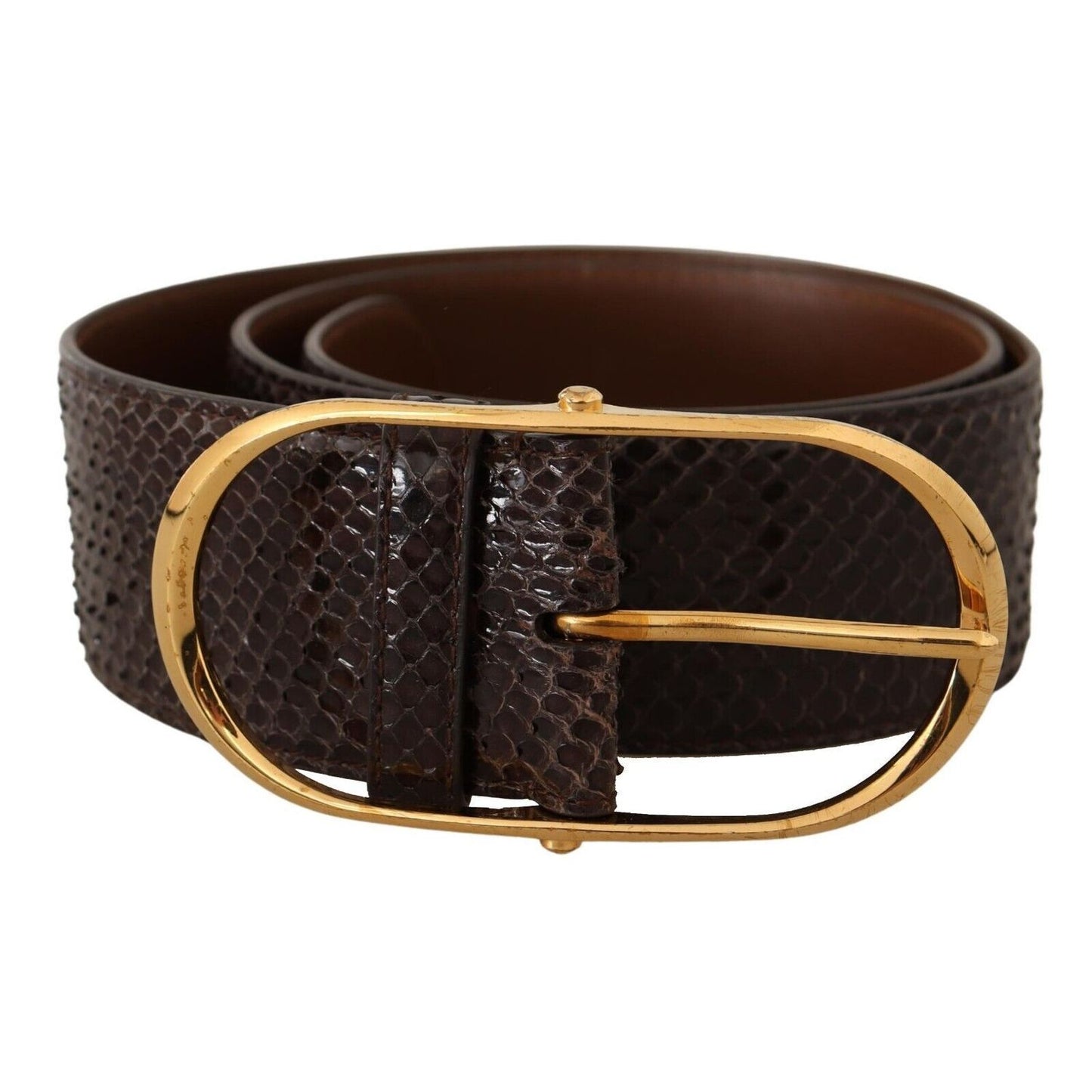 Dolce & Gabbana Brown Exotic Leather Gold Oval Buckle Belt