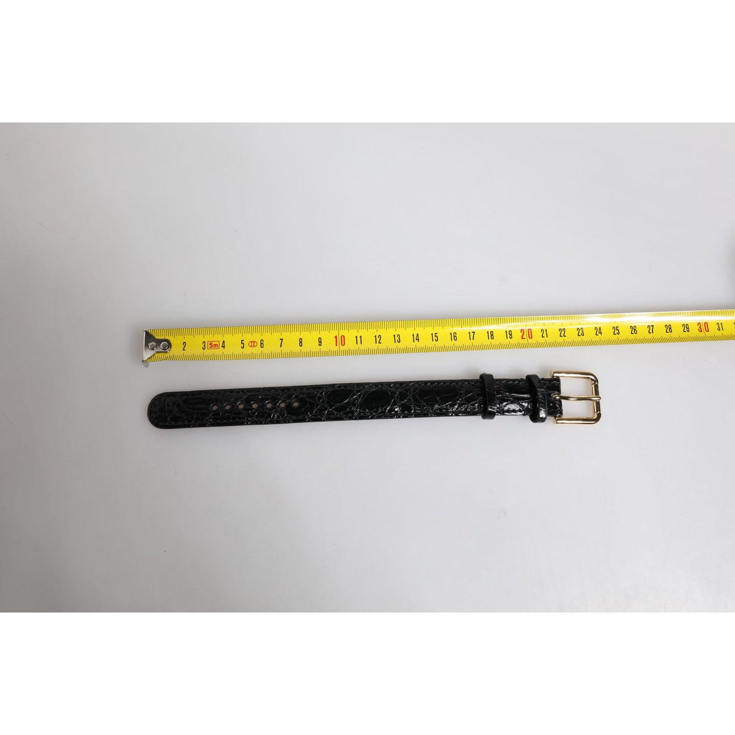 Dolce & Gabbana Black Exotic Leather Gold Tone Metal Buckle Armband