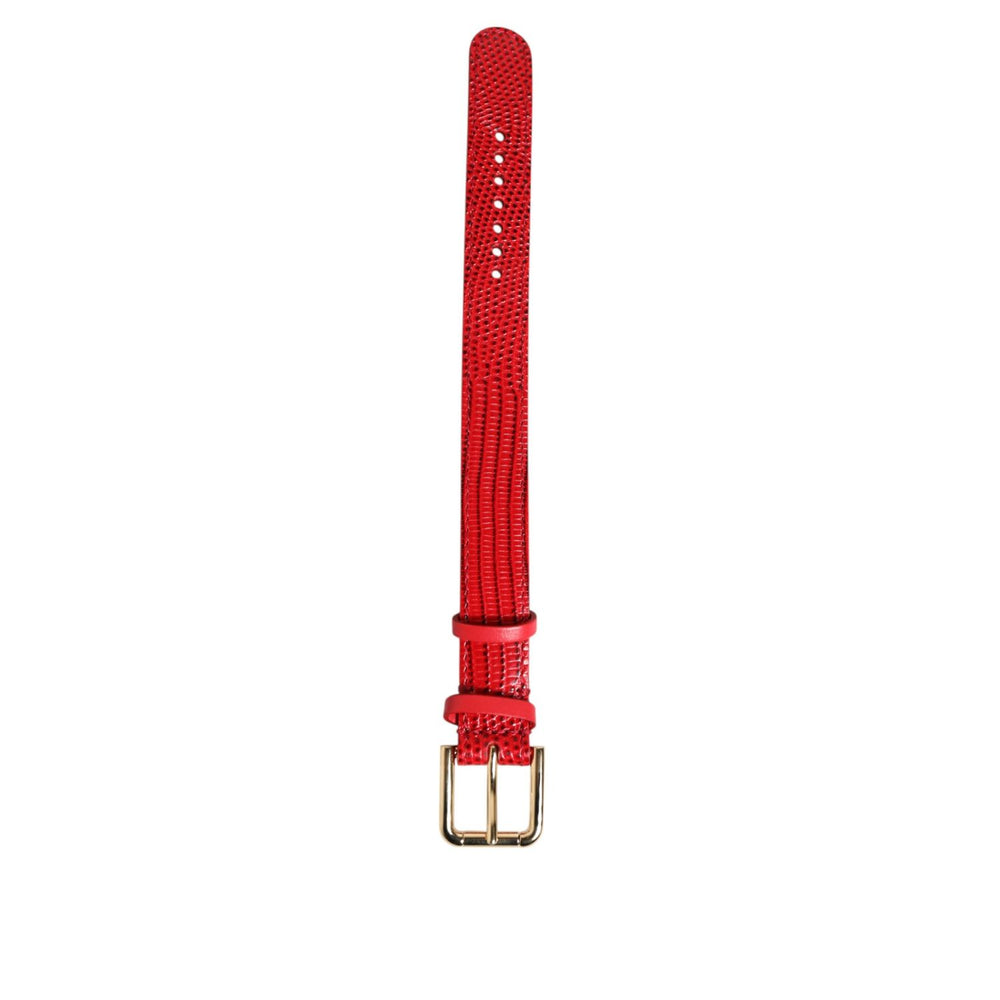 Dolce & Gabbana Red Exotic Leather Gold Tone Metal Buckle Women Armband, 100% calf leather, size 24cm, logo details, made in Italy