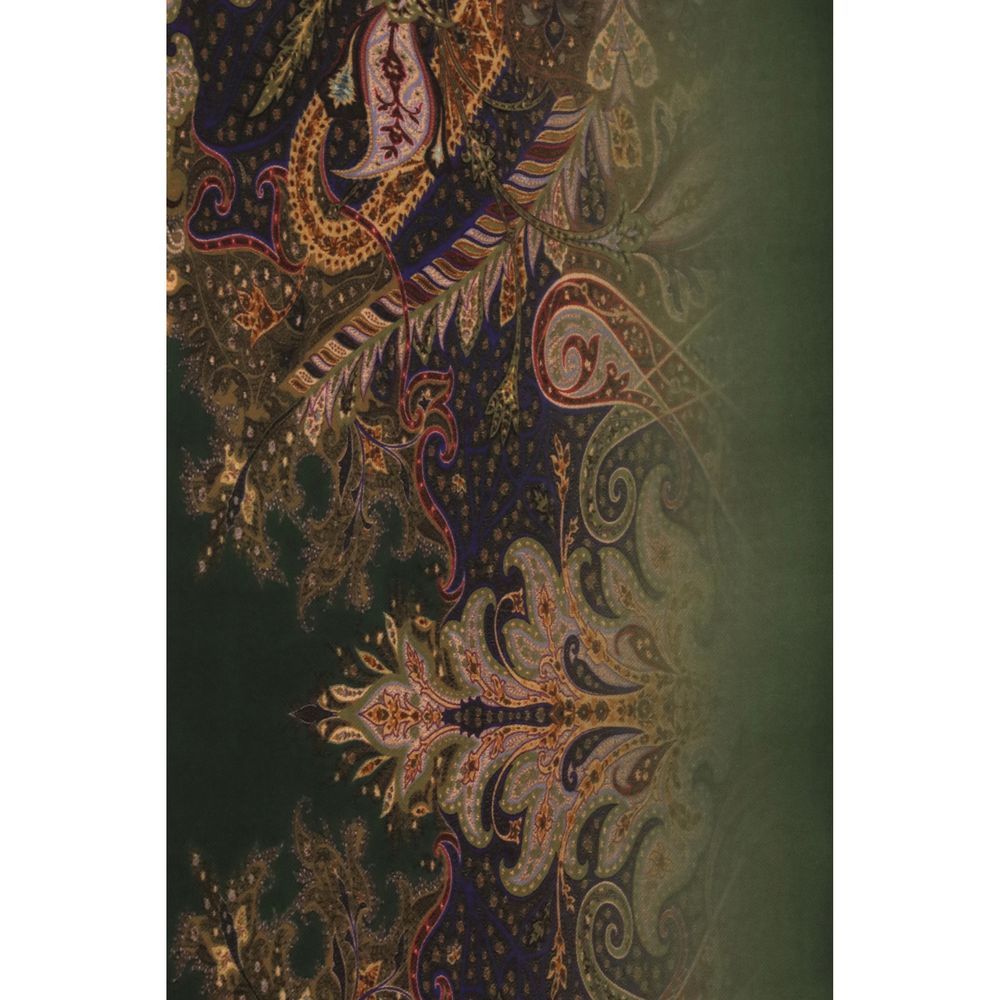Etro Multicolor Modal Scarf